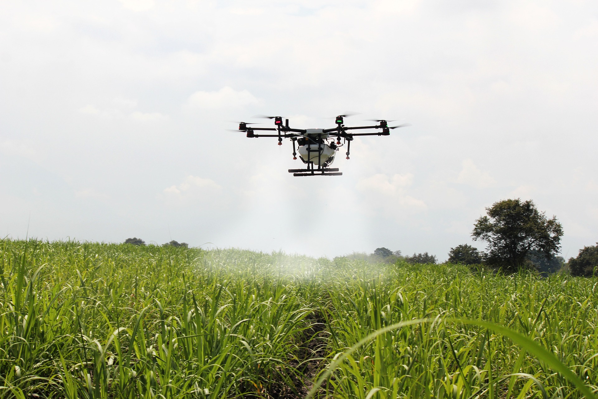 Read more about the article Produtor que teve safra contaminada após pulverização de fungicida na propriedade vizinha será indenizado